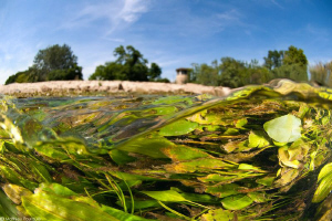 Hérault river_France by Mathieu Foulquié 